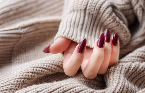 Piękne Dłonie Młodej Kobiety Ciemnoczerwonym Manicure Paznokciach Jesień Zima Paznokci — Zdjęcie stockowe