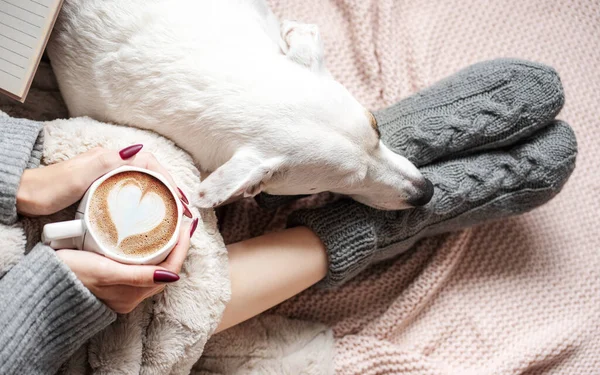 Cozy Home Woman Covered Warm Blanket Drinks Coffee Sleeping Dog — Stock Photo, Image