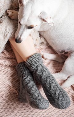 Samimi örgü çoraplı genç bir kızın bacakları. Ekose çorap giymiş kadın bacakları. Köpek kızın yanında uyur. Isınma mevsimi kavramı