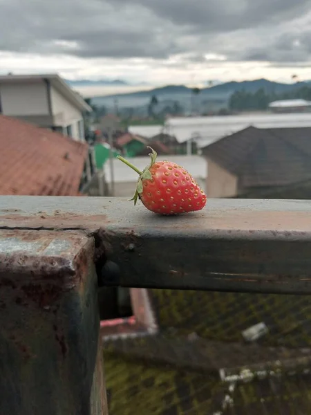 Frutas Morango Cor Vermelha Fundo Natureza Morangos Com Folha Isolada — Fotografia de Stock