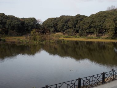 Şehirde gelişmek için farklı ekolojik rezervler var. Ama çok azı onlara bakıyor.