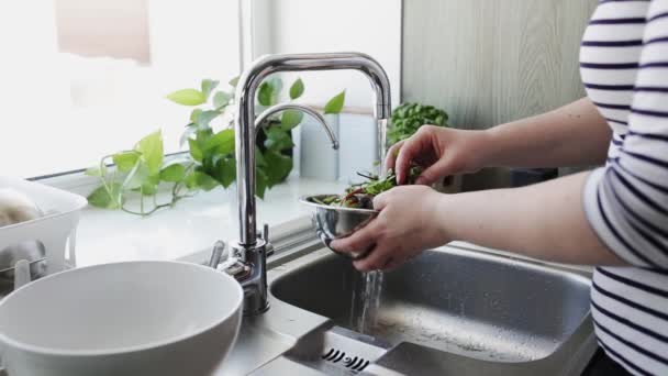 女性は窓の近くのシンクの台所の水道水の下で緑の新鮮なレタスサラダの葉を洗う 高品質のフルHd映像 — ストック動画