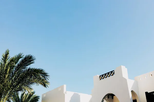 Вид снизу на пальмы и здания курортного отеля. Гостиничный бизнес — стоковое фото