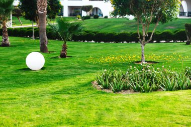 Yeşil bir çim, patika ve çeşitli bitkiler kullanarak otelin arazisinde güzel bir peyzaj. Peyzaj tasarımı işi. Profesyonel dış planlama ve uygulama. Çimlerde sarı yapraklar