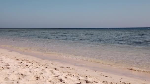 En liten flicka springer glatt längs havet på sanden vid Röda havets strand — Stockvideo