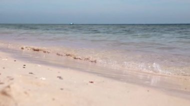 Mısır plajı ve kızıl deniz. Yaz günündeki kumsal manzarası.