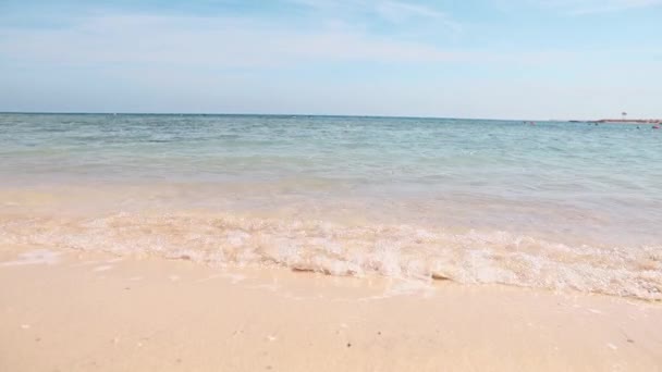 Египет пляж и красное море. Пейзажи вид на пляж морской песок в летний день — стоковое видео