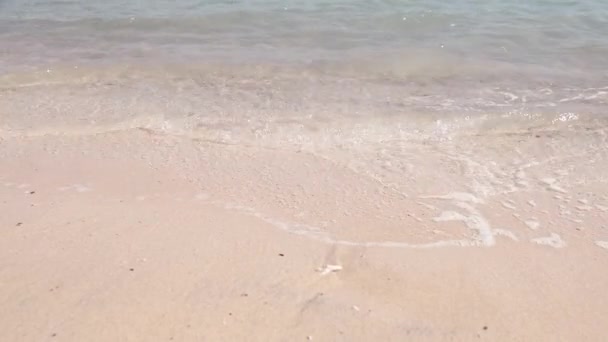 Playa de Egipto y mar rojo. Paisajes vista de la playa arena marina en el día de verano — Vídeos de Stock