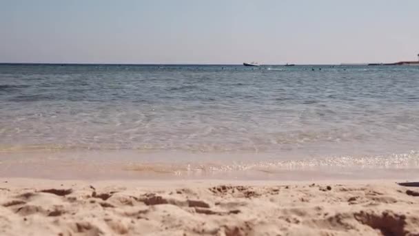 Une petite fille court joyeusement le long de la mer sur le sable sur le rivage de la mer Rouge — Video