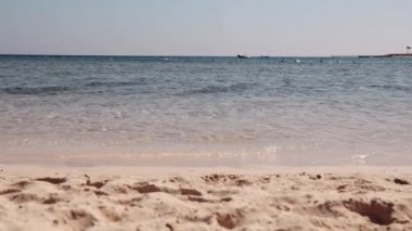 Mısır plajı ve kızıl deniz. Yaz günündeki kumsal manzarası.