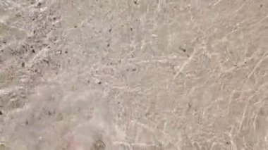 Kumsalda genç kadın bacakları, yürüyen bacakları yıkıyor.