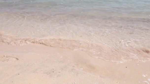 Узбережжя Єгипту і Червоне море. Літнім днем краєвиди берегового піску. — стокове відео