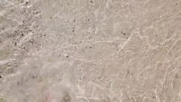 Piernas de mujer joven en una playa de arena, ola lavando las piernas caminando — Vídeos de Stock