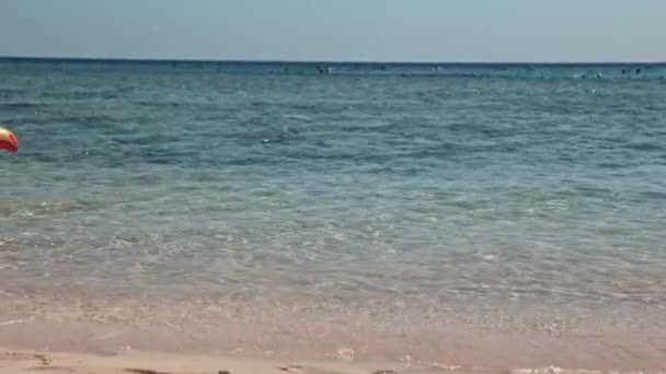 Le petit enfant poursuit les enfants flotteurs gonflables d'anneau de natation de bouée de sauvetage sur l'eau de mer — Video