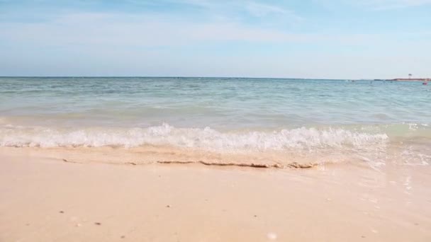 Playa de Egipto y mar rojo. Paisajes vista de la playa arena marina en el día de verano — Vídeo de stock