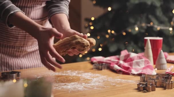 Καλά Χριστούγεννα, Καλή Χρονιά. Μαγειρική μελόψωμο, κέικ ή στρούντελ ψήσιμο — Αρχείο Βίντεο