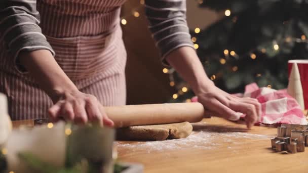 Mutlu Noeller, mutlu yıllar. Zencefilli çörek, kek veya turta pişirme. — Stok video