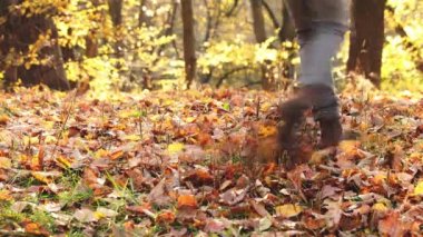 Küçük kız ayakları ya da bacakları ekseninde döner, sonbahar sarısı yaprakların arasında dans eder orman ağaçlarında. Güneşli bir park. Çocukluk mutluluğu. Parktaki çocuk. Çocuğun bir oyunu ve eğlencesi var. 4k görüntü