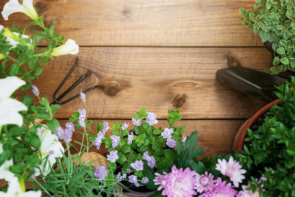 Tampilan Atas Pada Berkebun Alat Alat Lanskap Dan Peralatan Bunga — Stok Foto