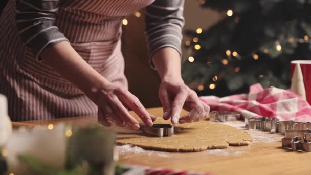 Καλά Χριστούγεννα Καλή Χρονιά Μπισκότα Μελόψωμο Μαγείρεμα Ψήσιμο Νεαρή Γυναίκα — Αρχείο Βίντεο