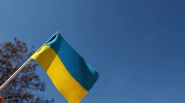 Ukraine national flag in human hand waving by wind in front of clear blue sky. Small blue-yellow symbol souvenir of nation, freedom, nationality, strength, will and honor. High quality FullHD footage