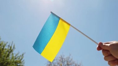 Ukraine national flag in human hand waving by wind in front of clear sky, sun. Small blue-yellow symbol souvenir of nation, freedom, nationality, strength, will and honor. High quality FullHD footage