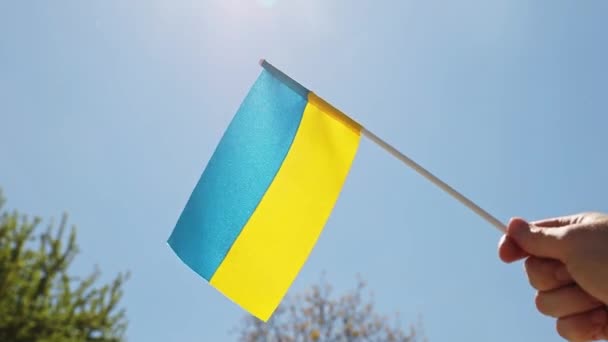 Ukraine National Flag Human Hand Waving Wind Front Clear Sky — Stok video