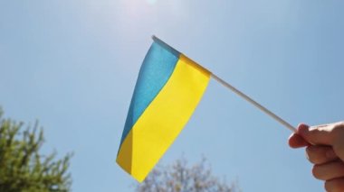 Ukraine national flag in human hand waving by wind in front of clear sky, sun. Small blue-yellow symbol souvenir of nation, freedom, nationality, strength, will and honor. High quality FullHD footage