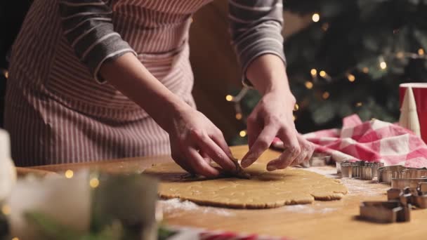 圣诞快乐 新年快乐 姜饼饼干烹调 年轻妇女用各种特殊的厨房形式 从揉碎的面团中雕刻 切割和雕刻姜饼 — 图库视频影像