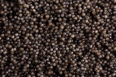 Arka plan olarak mersin balığı havyarı. Bir yığın siyah havyar. Üst görünüm.