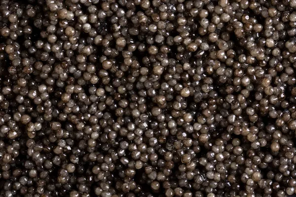 Sturgeon Caviar Background Heap Black Caviar Top View — Stock Photo, Image