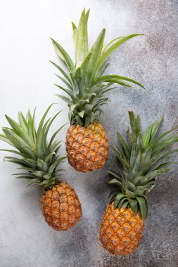 Beton zeminde üç taze ananas. Yemek arkaplanı. Üst görünüm, alanı kopyala. 