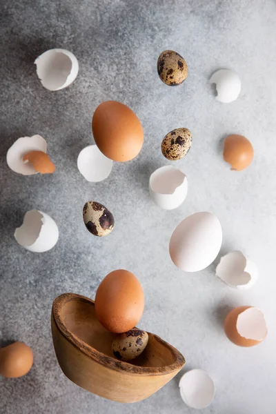 Ιπτάμενα Αυγά Κοτόπουλου Και Ορτυκιού Και Τσόφλια Αυγού Γκρι Φόντο — Φωτογραφία Αρχείου