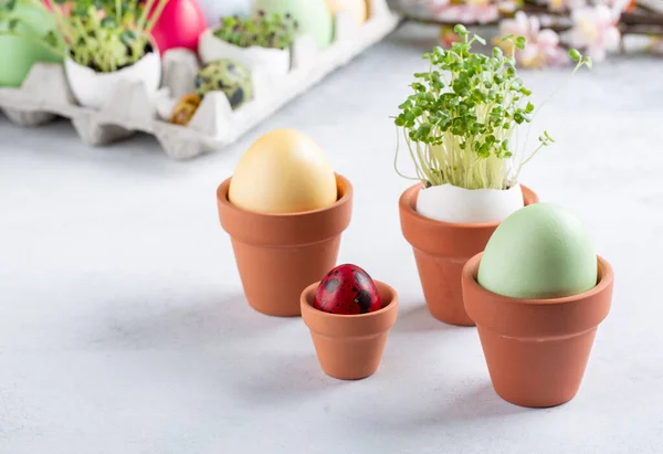 Dyed Multi Colored Eggs Green Sprouts Egg Shell Small Clay — Stok Foto
