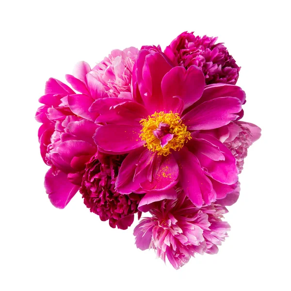 Beautiful Bouquet Pink Peonies Isolated White Close Top View — Fotografia de Stock