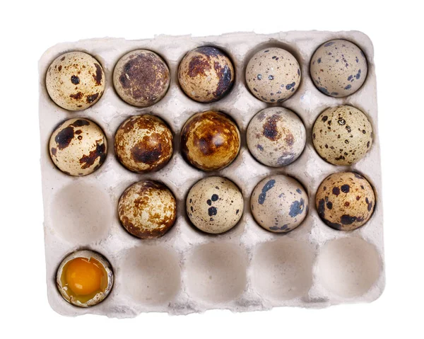 Αυγά Ορτυκιού Χάρτινη Συσκευασία Που Απομονώνονται Λευκό Φόντο Άνω Όψη — Φωτογραφία Αρχείου