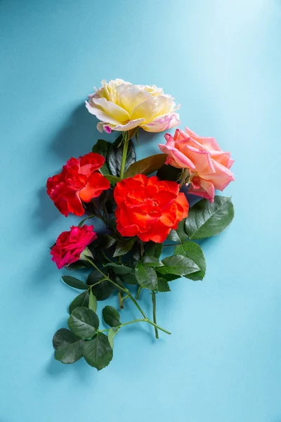 Mavi Arka Planda Bir Buket Çok Renkli Gül Çiçeği — Stok fotoğraf
