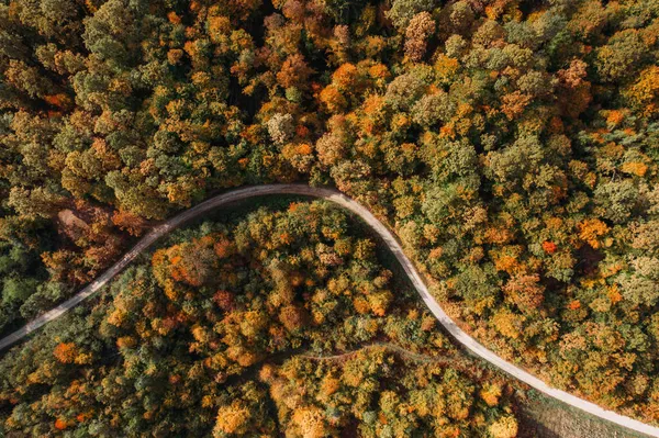 Sonbaharda renkli bir ormanın havadan çekilmiş fotoğrafı..