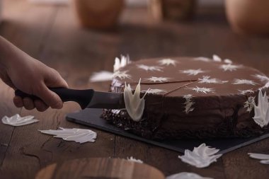 El yapımı çikolatalı pasta.