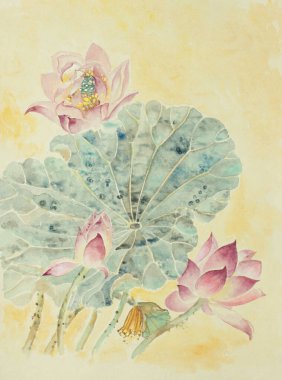 lotus flower on yellow gold background
