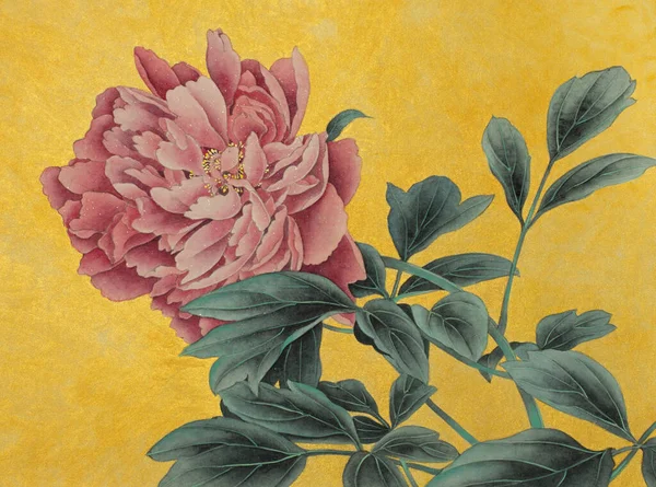 Delicate Pink Peony Golden Background — Stock Photo, Image