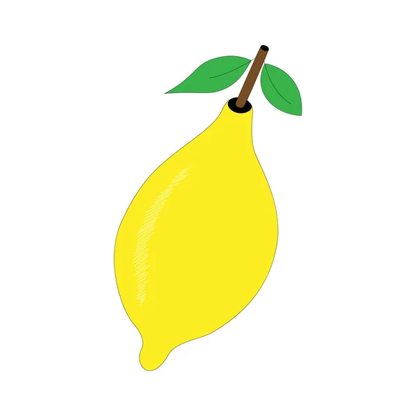 Limon Beyaz Arkaplanda Izole — Stok Vektör