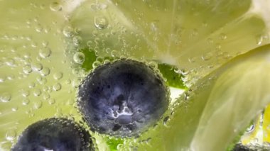 Lemon and blueberries in a glass with bubbles of soda water extreme macro close-up video.