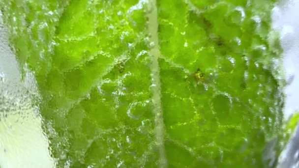 Mint Leaf Bubbles Misted Glass — Video Stock