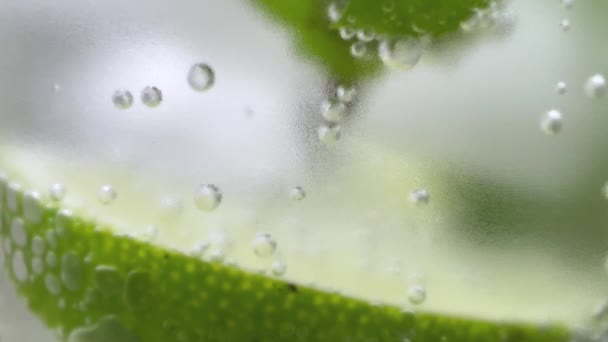 Lime Slice Mint Air Bubbles Misted Glass — Vídeo de Stock