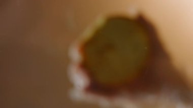 Ekmeğin tepesini füme somon simidine koydum. Bardağın altından 4K video kaydı.