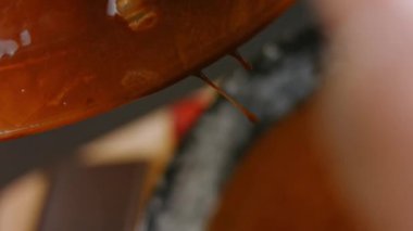 Çikolatalı kek malzemelerini fırın kabına dök. 4k video