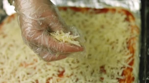 Mozzarellát tettem New York-i pizzára. — Stock videók