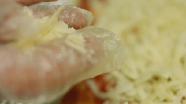 Jag la mozzarella på New York pizza. — Stockvideo
