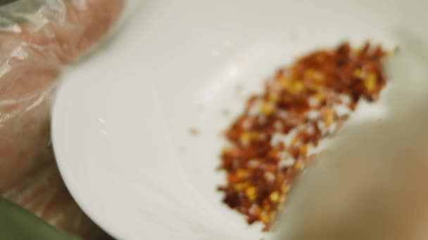 Έβαλα νιφάδες τσίλι στην πίτσα της Νέας Υόρκης. — Αρχείο Βίντεο